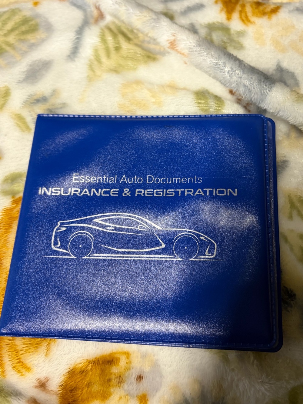 Essential Auto Documents Insurance & Registration Holder - Blue